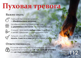 Тополиный пух Тополиный пух.